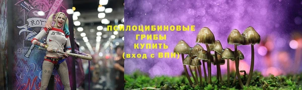 альфа пвп Медвежьегорск