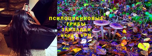 альфа пвп Медвежьегорск