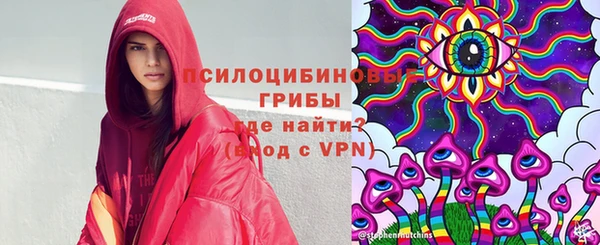 альфа пвп Медвежьегорск