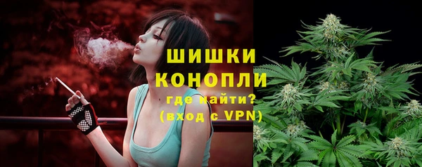 альфа пвп Медвежьегорск