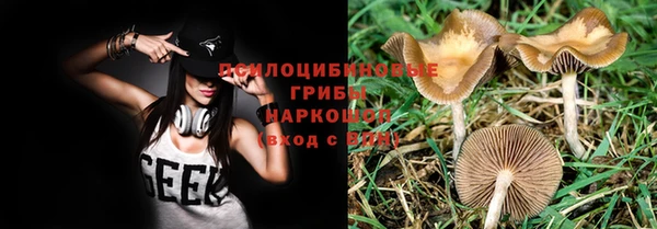 spice Мегион