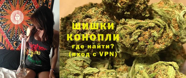 spice Мегион