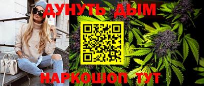 сатива Апшеронск