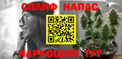 дурь Нарткала