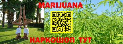 крисы Аргун