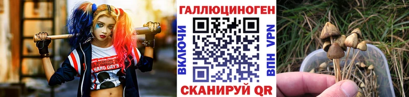 где купить наркотик  Маркс  Псилоцибиновые грибы мицелий 