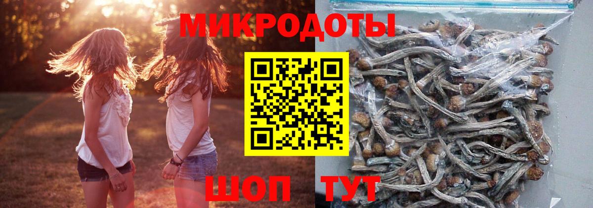 Галлюциногенные грибы Psilocybe  Псилоцибиновые грибы Cubensis  Маркс 