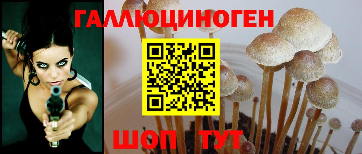 Канабис  Вход с VPN  Маркс  Cocaine  КОКАИН  ГАШИШ  Меф   Alpha PVP СОЛЬ кристаллы 